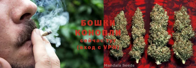 Канабис THC 21%  Высоковск 